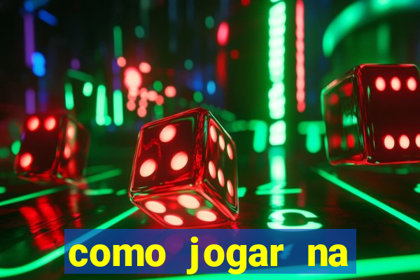 como jogar na lotinha do jogo do bicho